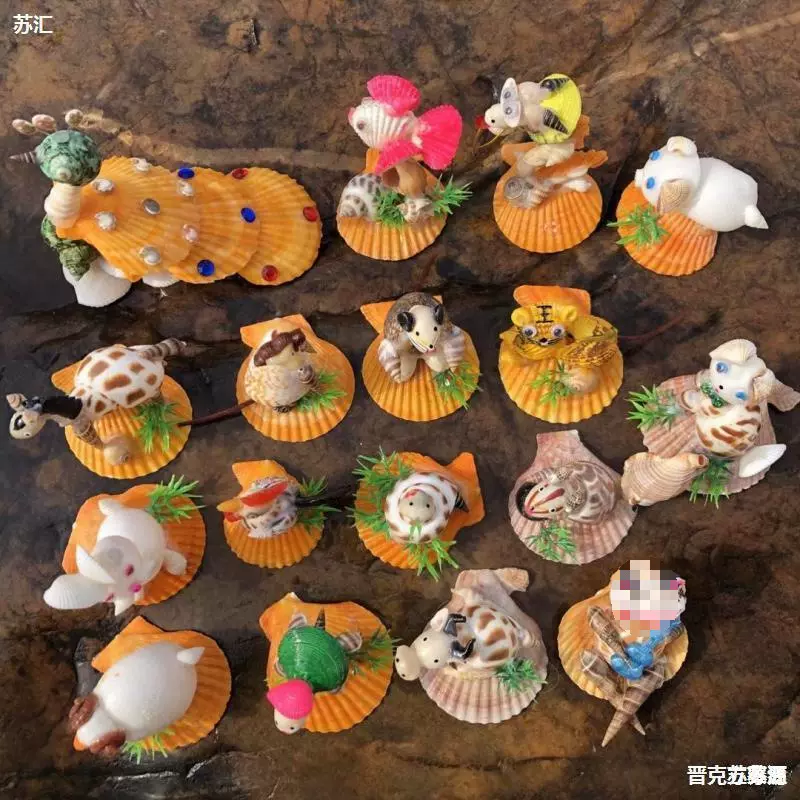 十二生肖天然贝壳海螺工艺品家居装饰品旅游纪念品摆件儿童玩具