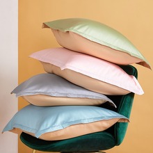 枕套一对装枕头套纯棉全棉100支新疆长绒棉48x74cm枕芯套高级感