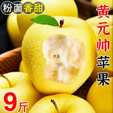 �SԪ���O��9�����rˮ���������������掛��̨�S�㽶����1