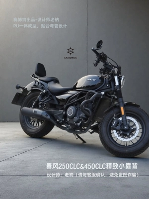 integrated three-dimensional design, Electric car rear backrest