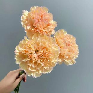 ����ܰ�r�л���ϻ������lˮ�B�r���k���һ����廨ֱ�lһ�����]