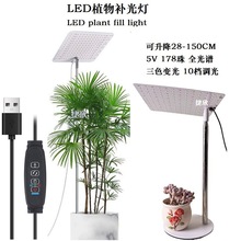 ledֲ�����L������ȫ���V���Ӱ�����Gֲˮ�����ֲ���a����羳
