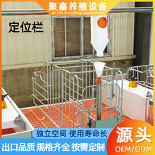 养殖场母猪定位栏落地式限位栏 猪用定位栏带槽 加厚产床仔猪保育