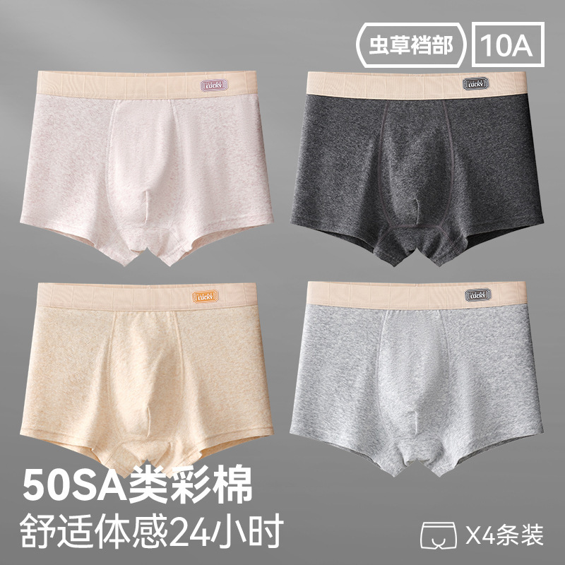 96027-그레이 퍼플+잉크 그레이+밀크 살구+포그 그레이