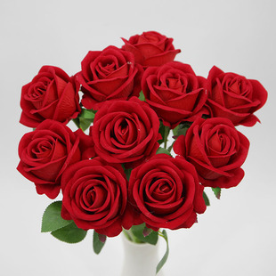 ����õ�廨��֧�ָнq��õ���ٲ����滨��Y�Ҿ��b��üٻ����l