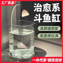 斗鱼适用缸小型网红创意造景玻璃缸桌面观赏小夜灯装饰生态养鱼缸