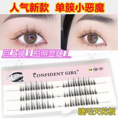 Little Devil Segmented False eyelashes Barbie Eyelashes photograph Eyelashes wholesale