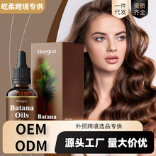 HOEGOA �����{�Ե����o�l���� �̝��l�z�l�|��������^�l�o����