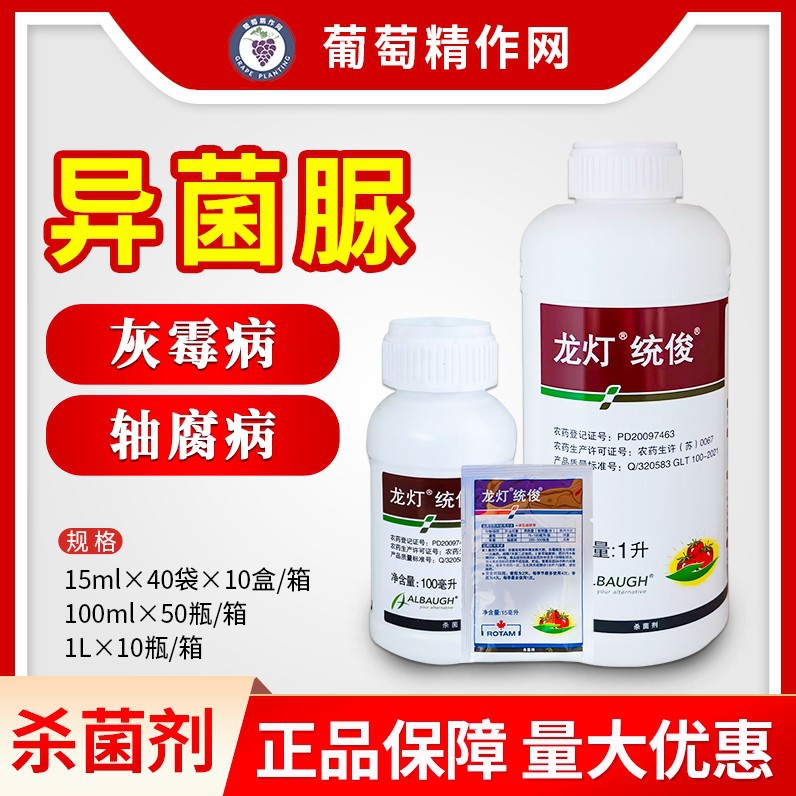 龙灯统俊 45%异菌脲番茄西红柿灰霉病香蕉轴腐病农药杀菌剂悬浮剂
