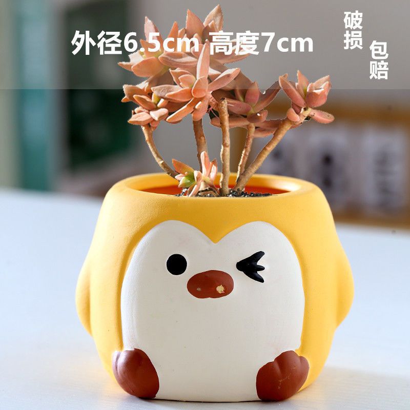 Macetas de cerámica para suculentas con diseño de animales de dibujos animados, pequeño tamaño, para estante de flores en casa, suministro al por mayor