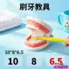 YX071 baby learns to brush teeth [free toothbrush]