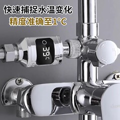 新款花洒温度显示器淋浴水龙头测温婴少儿老人孕妇专用洗澡水温计
