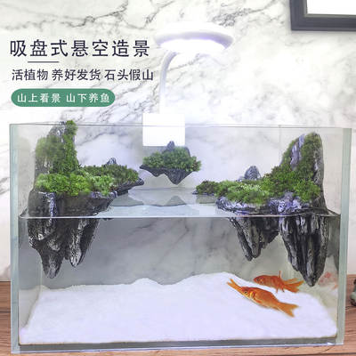 Live plant rockery fish tank landscaping package office desktop grass tank decorative set small size ornaments