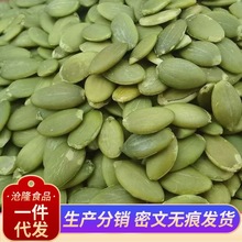 代发新疆新货生原味南瓜子仁散装批发烘培原料每日坚果无壳生南