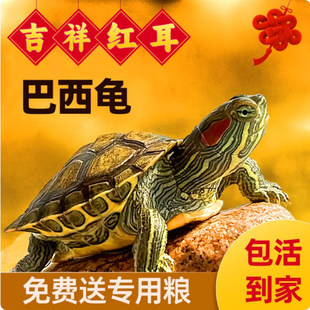 ��������t����ؔ�������������N���J�������^�p�m�ϼ��B��С����