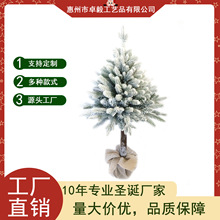 ŷ�޼���װ�α���ʥ���� 120CMʥ����װ����