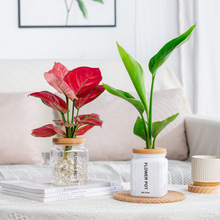 ��܎͸���²���ˮ�໨�跽��С����ˮ�B�Gֲ��֬����G�}�����t