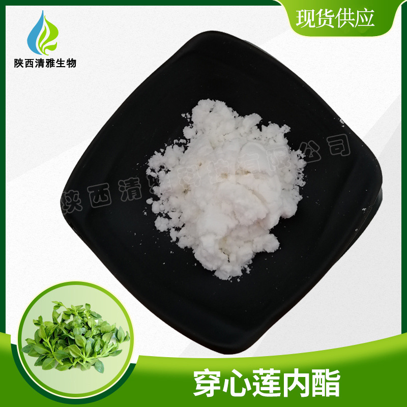 穿心莲内酯 5%/10%/20%/30%/50%/98% 穿心莲提取物 穿心莲内酯粉