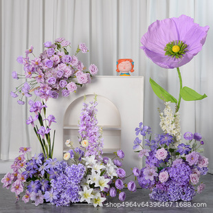 ��ɫϵ���滨�ٻ�����c������Y�������b����l��Y���õ��Ż�