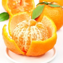 5첻֪ٮrˮƤӳ˹ӬF؛ɽS