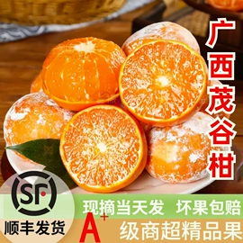 块茎类;芒果;其他水果
