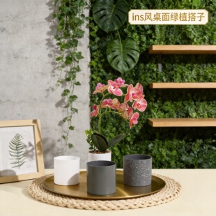 ���Ä���A�����ϻ����̨�ҕ�������m�����辰�������ֲ������