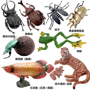 ����PVCɳ�P�����b[���J֪������ĸ�����ܪ����ɴ��xģ��