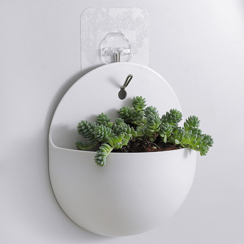 Wholesale plastic wall-mounted lazy pothos flowerpot with hook, wall-mounted hydroponics hanging semi-circular vase