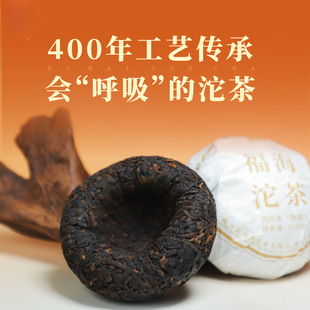 �퍺���S�������Ř����������ϻ��ϲ��~�ն���55���