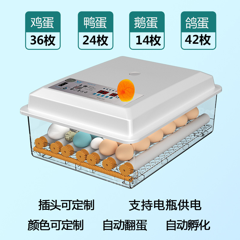 家庭用孵化器ひよこ孵化器小型家庭用孵化機全自動知能鶏鴨ガチョウ鳩孵化機|undefined
