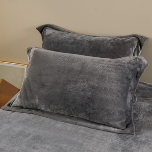 Winter Coral Fleece Pillowcase Pair Pack 48x 74cm Suede Warm Thickened Single Large Pillowcase Plush Fleece