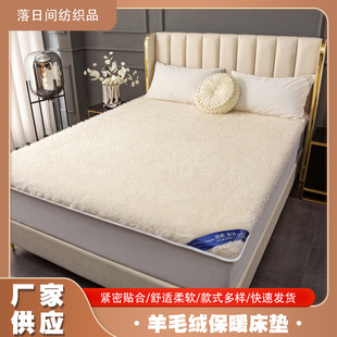 Foreign Trade Wool Mattress Cushion Home Bedroom Winter Lamb Velvet Blanket Single Winter Thickeneded Thermal Pad Quilt