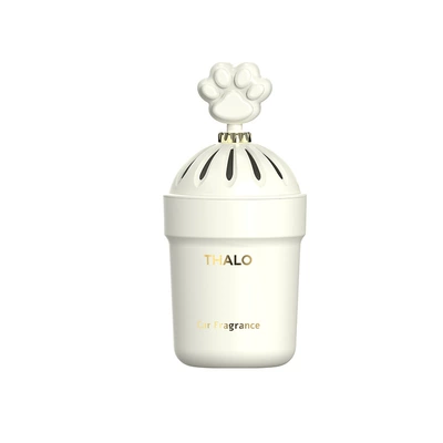 Car Perfume Aromatherapy – Odor Removal, Air Freshener