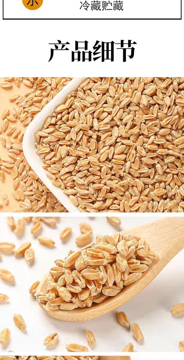 Fu Xiao Mai (Triticum aestivum) — Naturally Sun-Dried Light Wheat for Tea & Soup in use