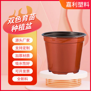 �pɫ���⻨�� �Gֲ�@ˇ�Ӻ�pp������С���躆������������ܛ����