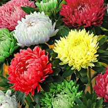 �ջ����Ԏ���������ƹ�Ҿ�����҃�ֲ���＾�����̨�Gֲ���滨