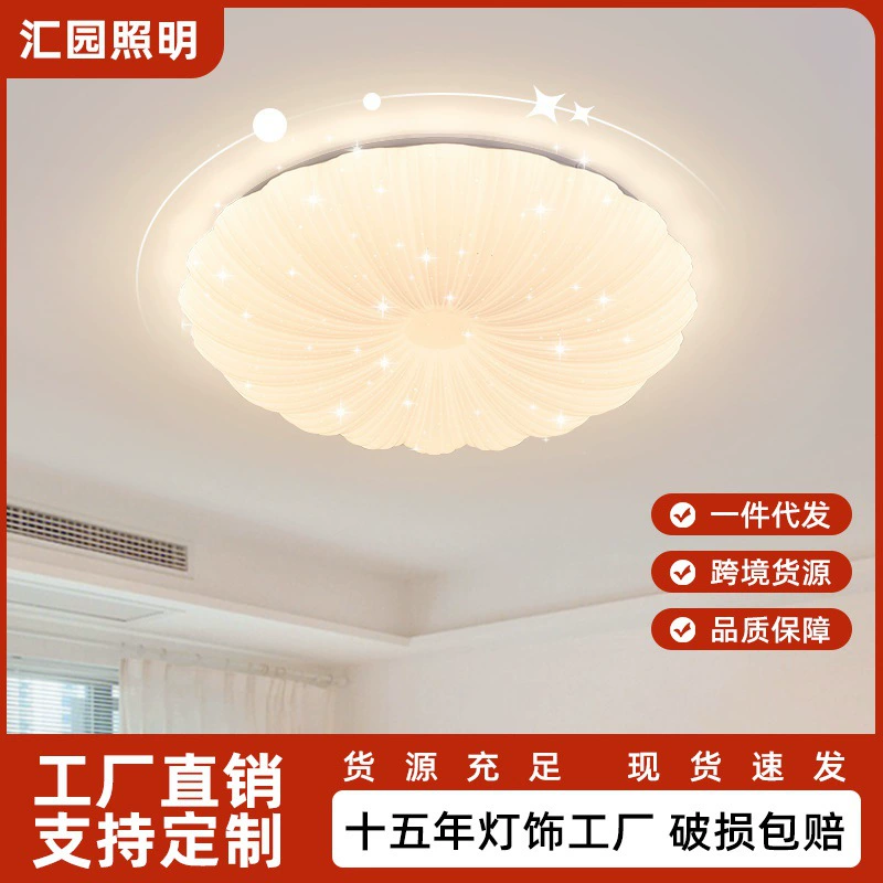 Ceiling light for bedroom, modern creative lights for living room for children's room