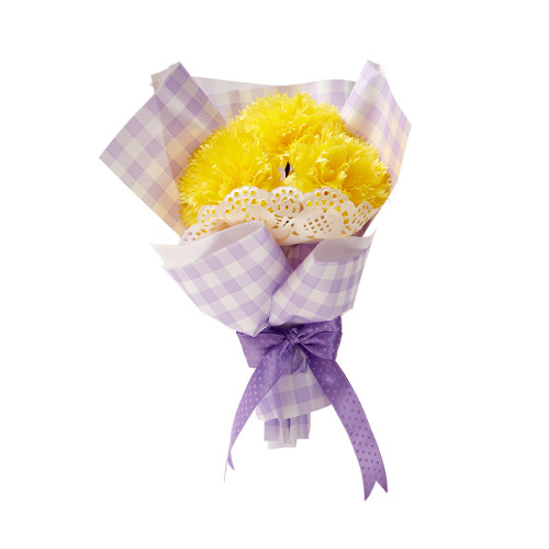 Mother's Day Carnation Bouquet Toy Handmade DIY Material Package Blessing Gift Wholesale Send Mom Toys