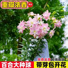 10�w��ˮ�ٺϷN���ļ��B�ͺ��̨�҃����ذ�ٺϻ��������ֲ��