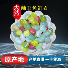 鱼缸造景石头多彩底砂溪流石子花盆铺面五彩色水培颗粒多肉颗粒土
