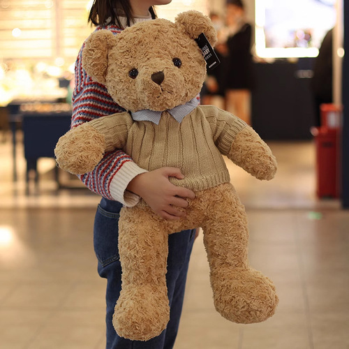 Cute Teddy Bear Plush Toy Hug Bear Plush Doll Sleep Bear Stuffed Animal Girls' Birthday Children's Gift
