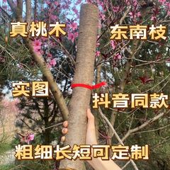 桃の木のかんざしの桃の木の棒の野生の古い桃の木の桃の枝の桃の木の枝の桃の木の原木の彫刻の夢の域