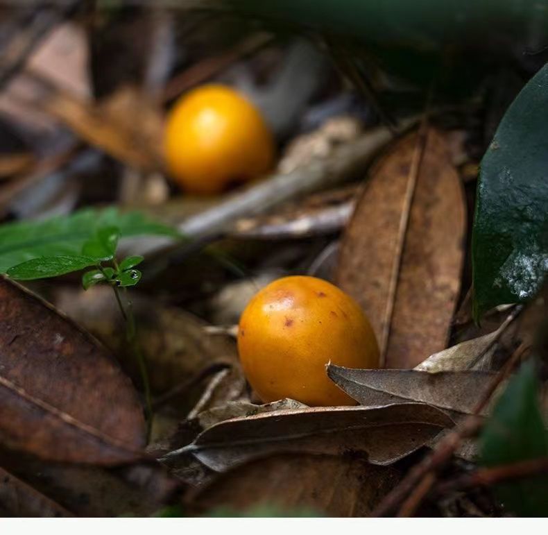 bd270069-7d0e-470b-b361-4ecd4ff1c3d4.jpe