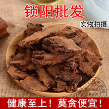 i500g]؛iƬۿɴɐ޽iЇҊԔ