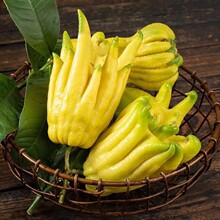 ���ָ��r�����r���ֹ��Ў�֦�҃Ȕ[���幩�^�p���ʳ�û�������