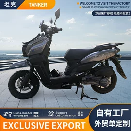 其他电动车;其他摩托车;电动摩托车