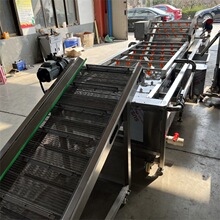 �S��ֱ��������ϴ�C �߲˰ײ˶��S�����߉������O��