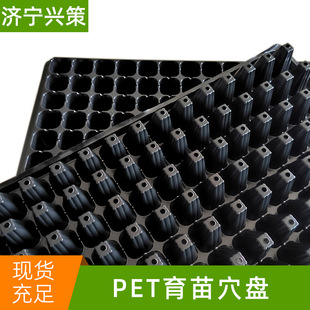 72��ѿ��˷Nֲ�P������ľ�NֲǤ���������̨�N�˻�������Ѩ�P