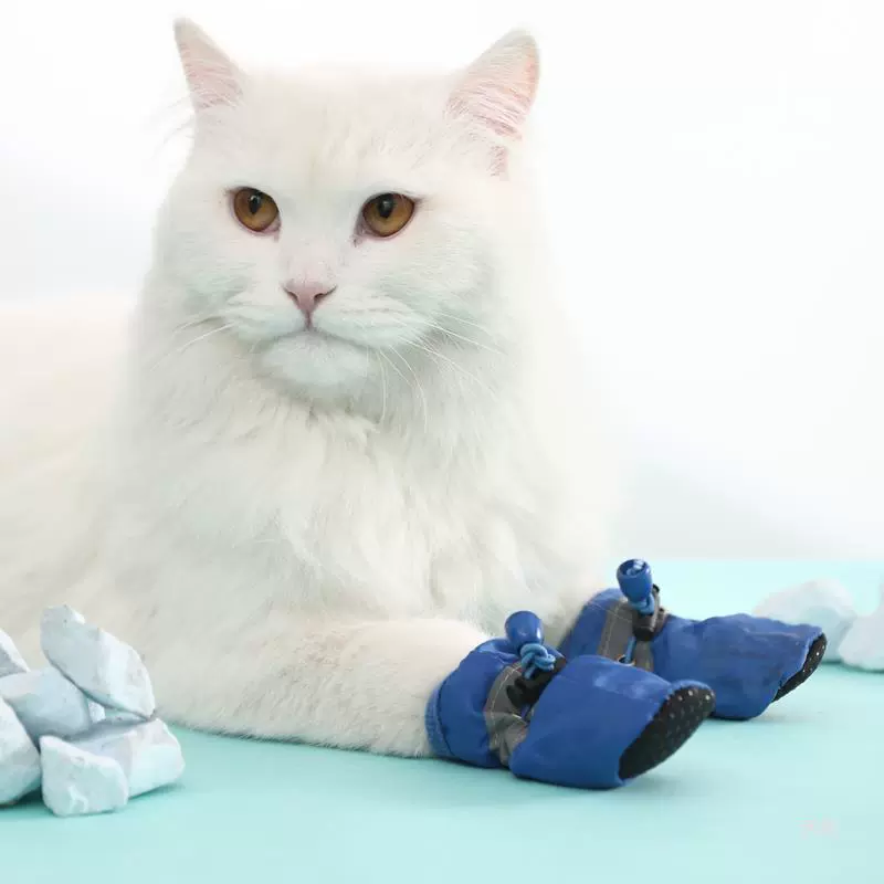 Кошачьи ботинки для кошек, чтобы предотвратить грязных котят
