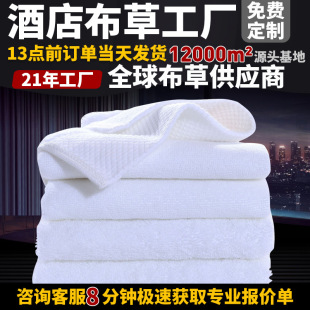 Pure Cotton Platinum Satin Towel Wholesale Hotel Supplies Beauty Salon Towel Pure Cotton Bath Coral Environmentally Friendly and Durable